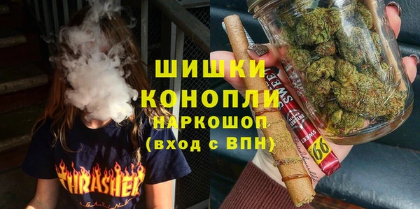 индика Цивильск