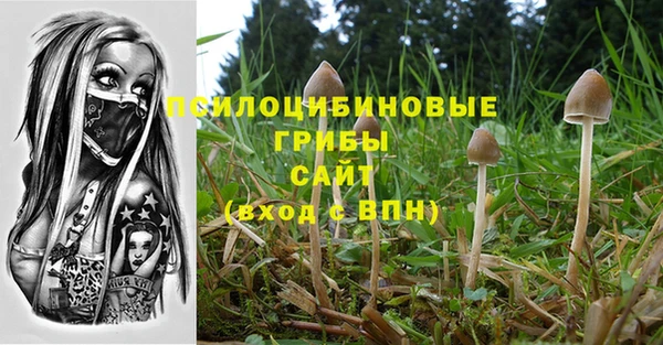 прущий лед Верея