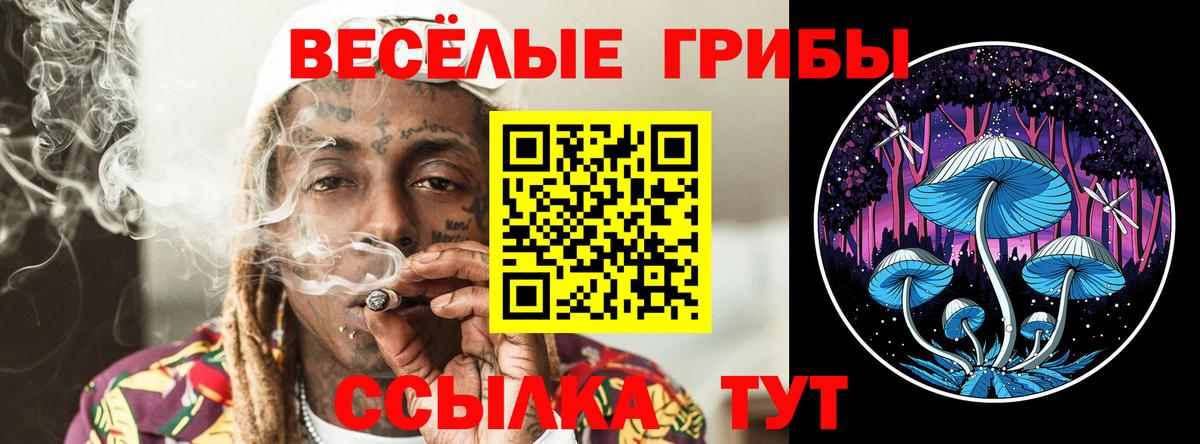 LSD-25  Всеволожск  A PVP СК кристаллы  Сколько стоит  NBOMe  Каннабис  Меф МЯУ МЯУ   Вход с VPN 